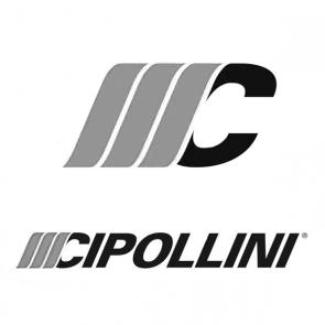 CIPOLLINI (チポッリーニ) ブランドヒストリー